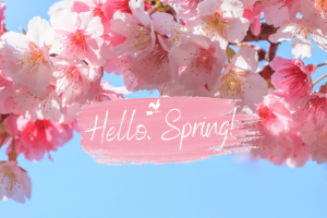 hello spring