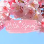 hello spring